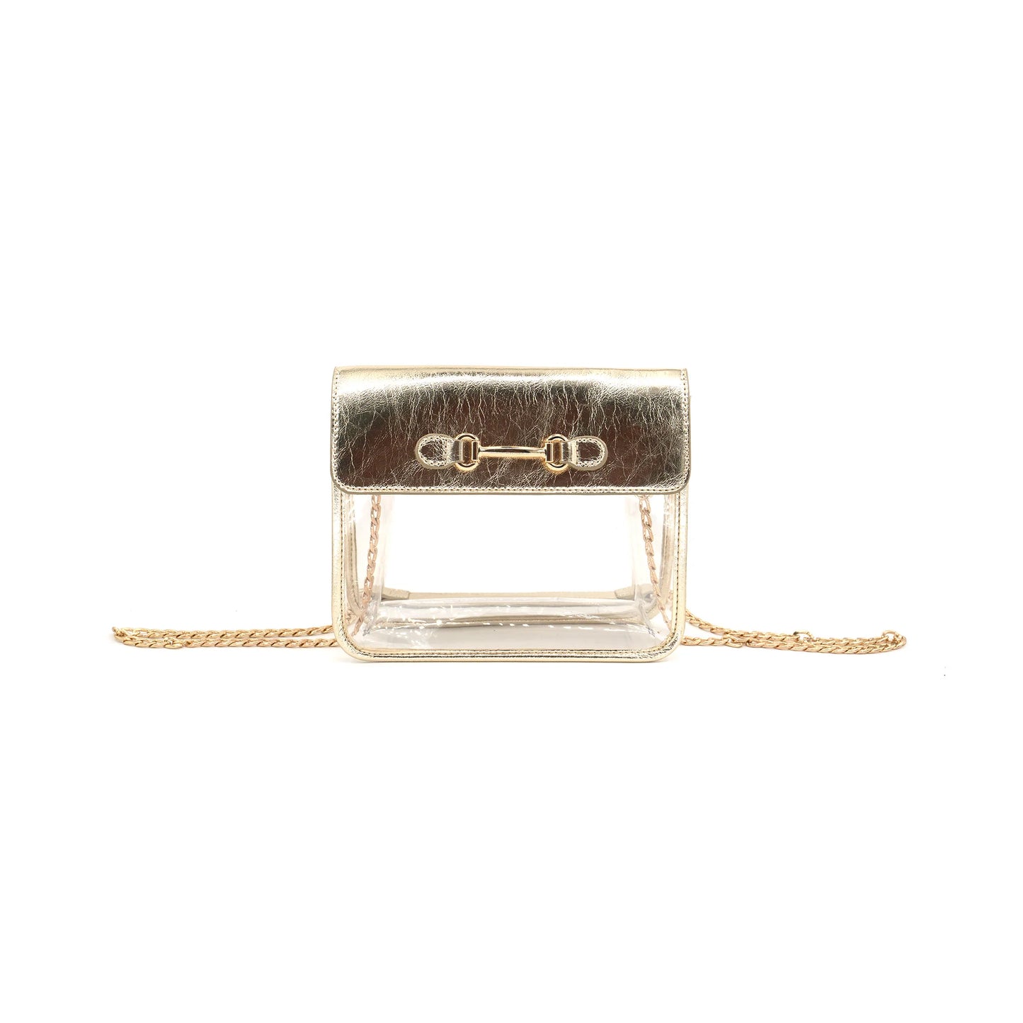 Chloe Clear Bags