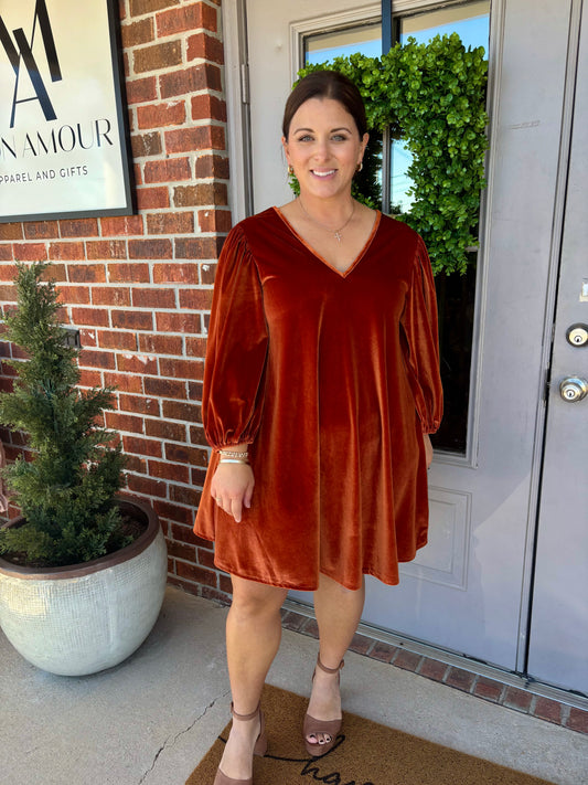 Burnt Velvet Flounce Dress