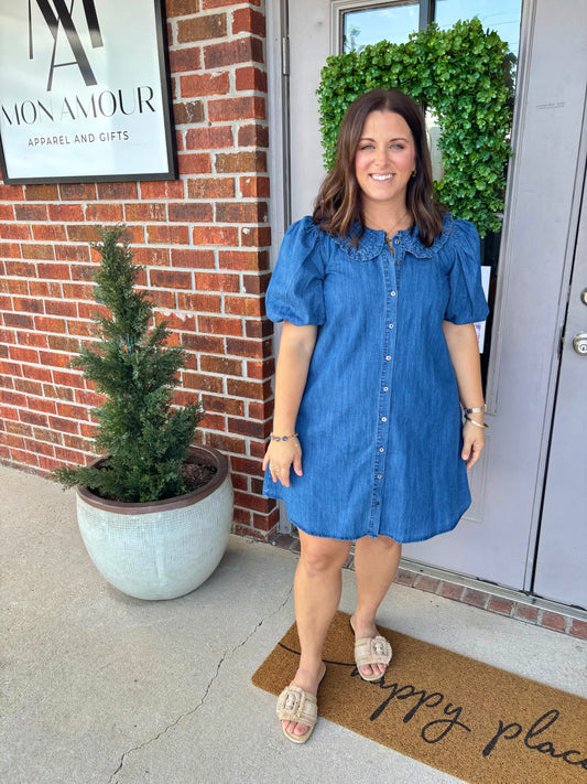 Darla Denim Button Down Dress