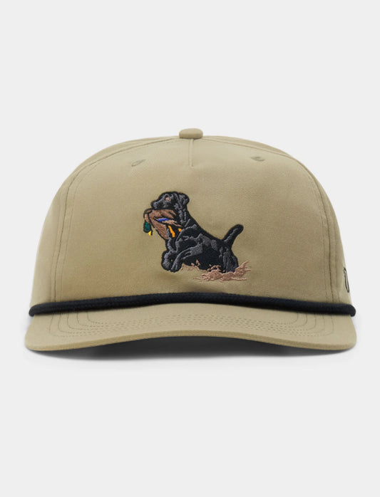 Black Lab Hat