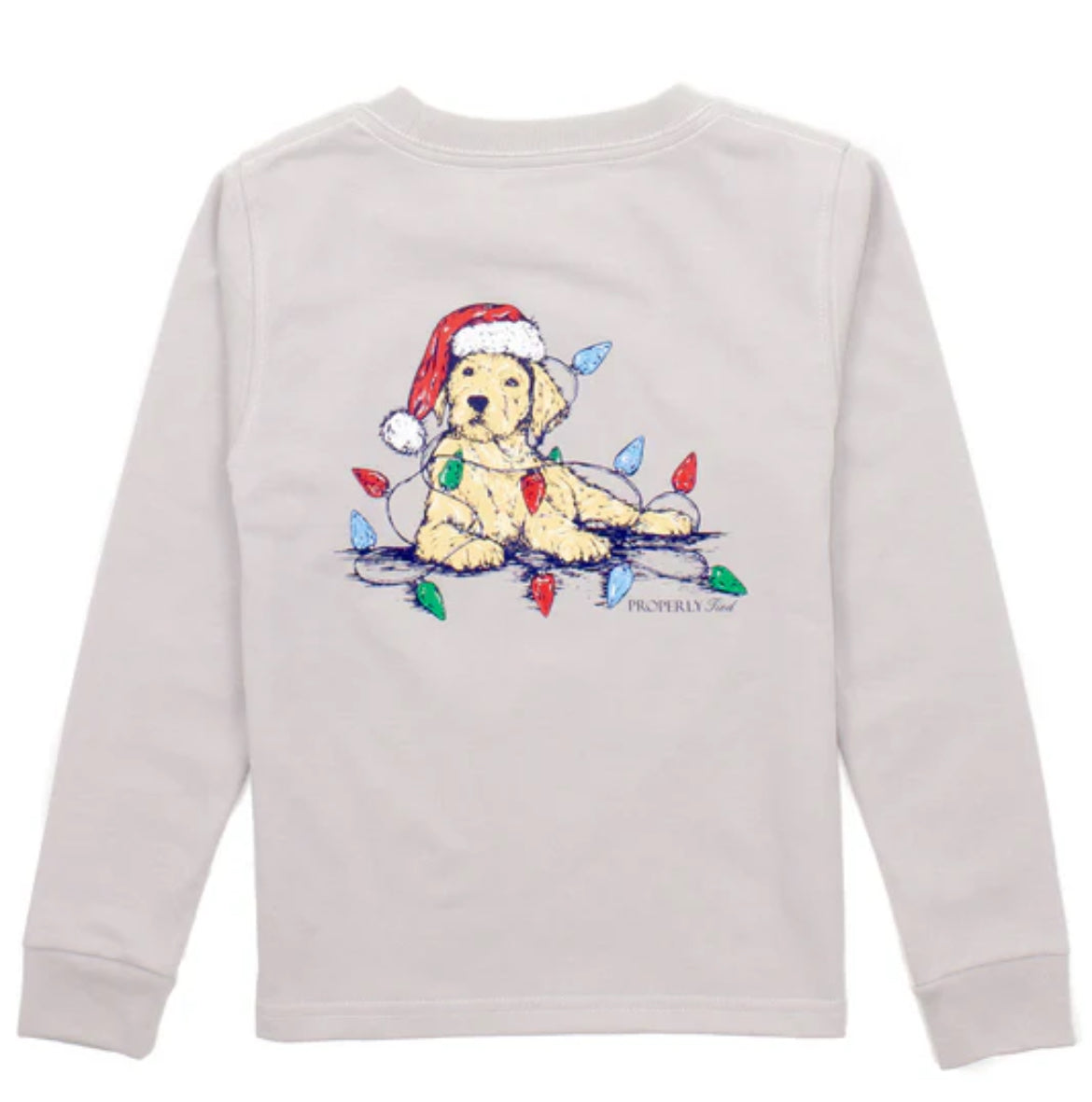 Boys Santa Paws LS Tee