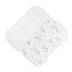 Little Train Printed Burp Cloth Set